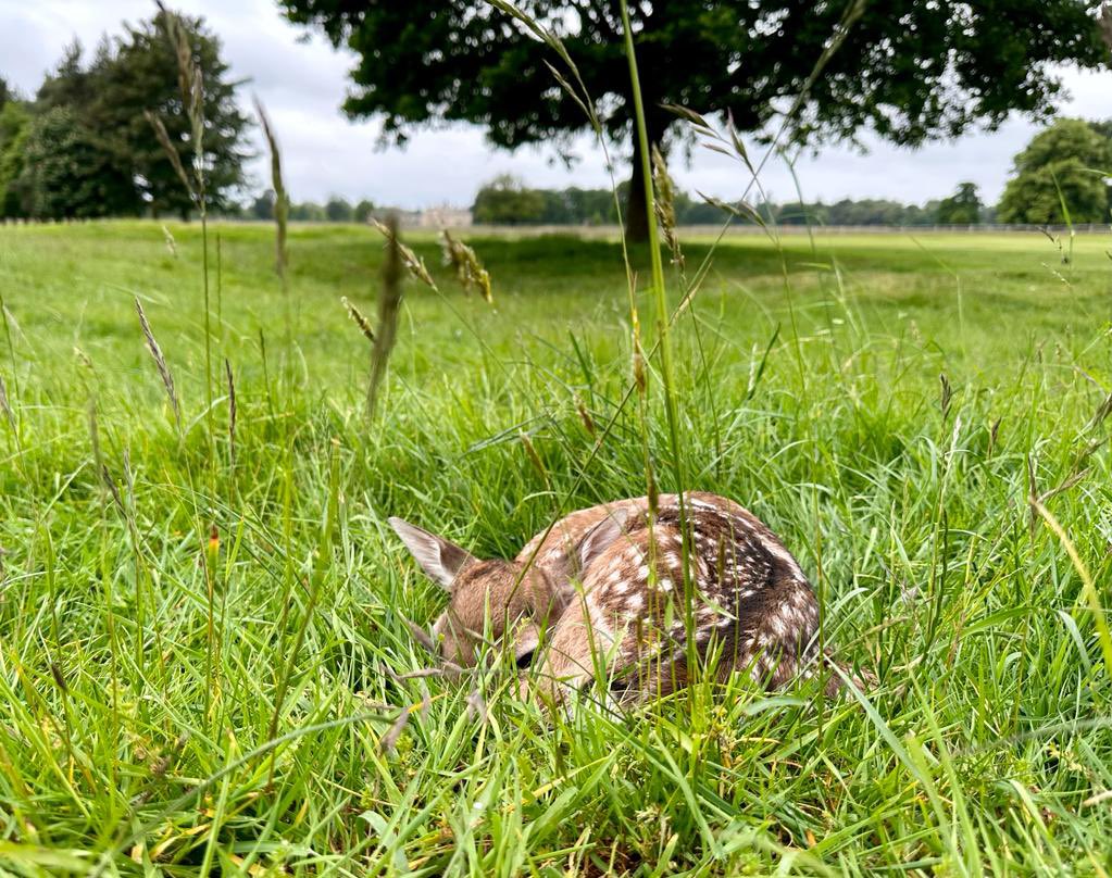 Belton Park Golf Club tweet media