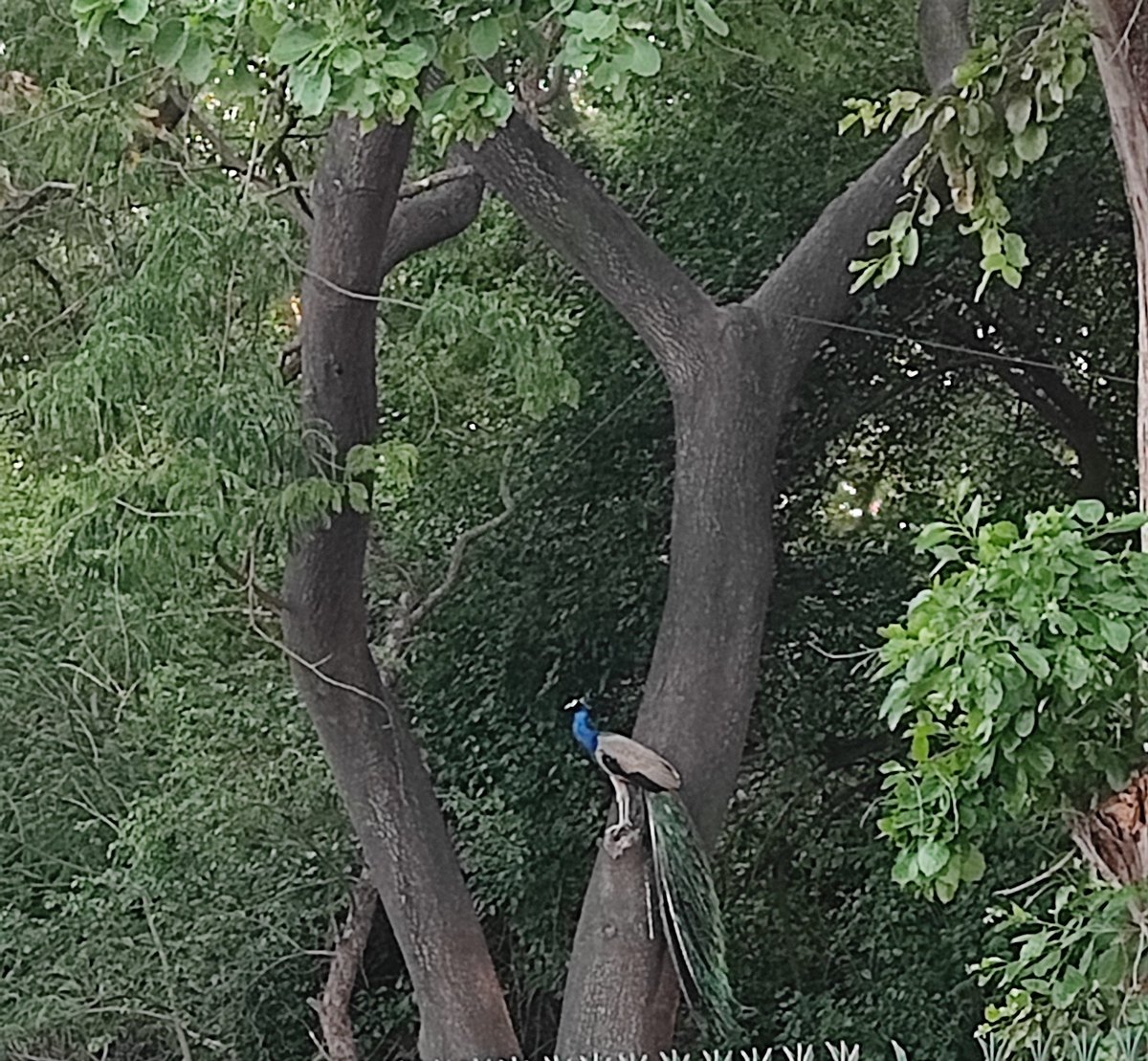 adv_vishalgupta's tweet image. Chandigarh