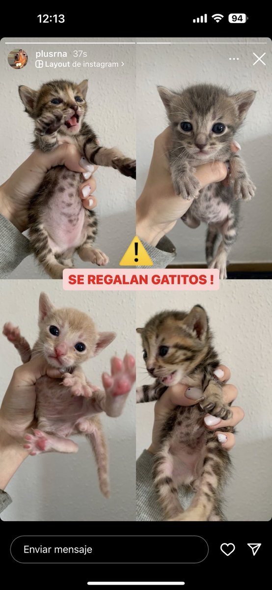 URGENTE ‼️
