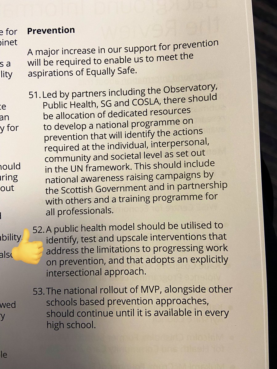 Delighted to see a focus on prevention in the recommendations of the #vawgfundingreviewreportlaunch and recognition of the value of taking a #publichealthapproach