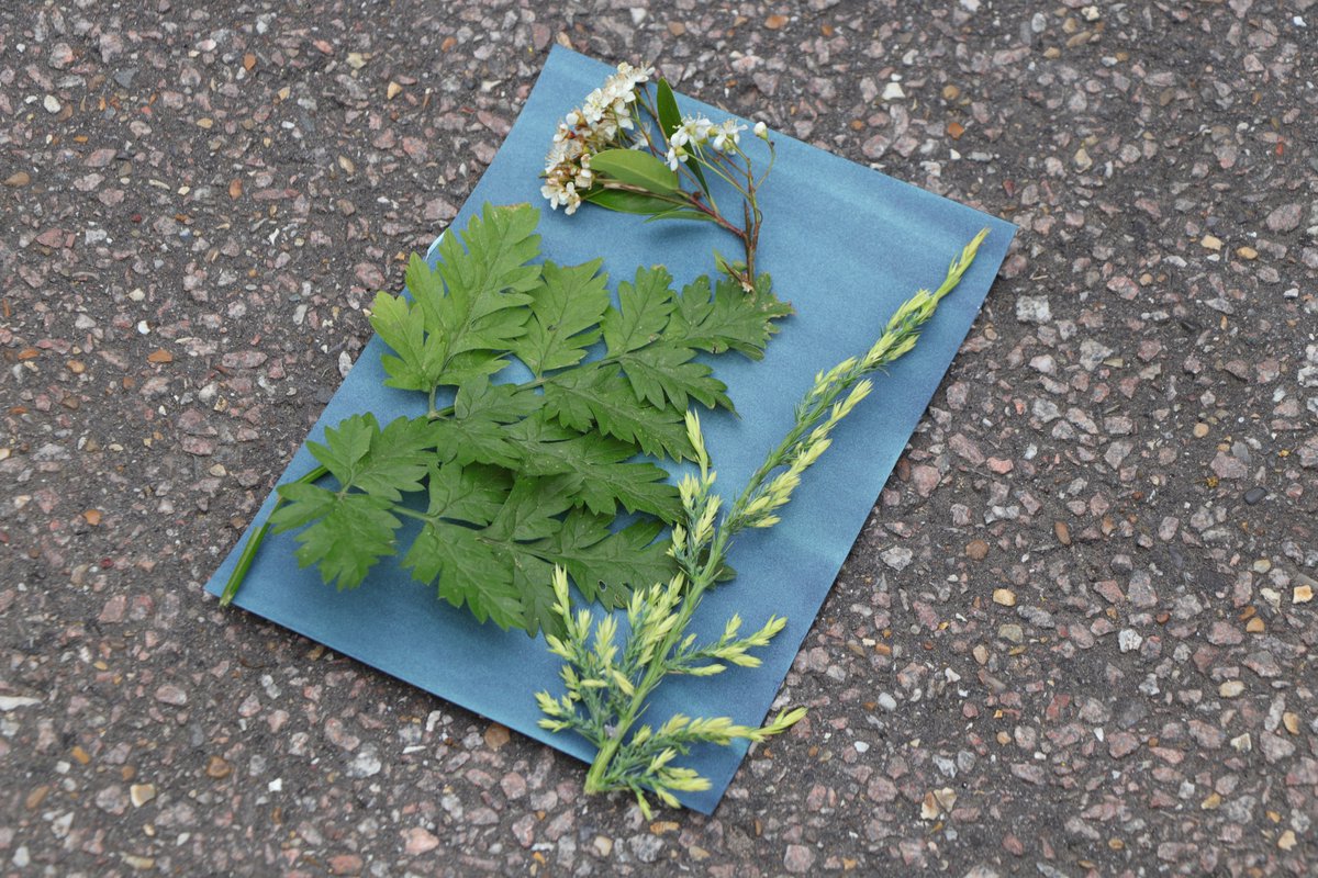 Lochinver House tweet media