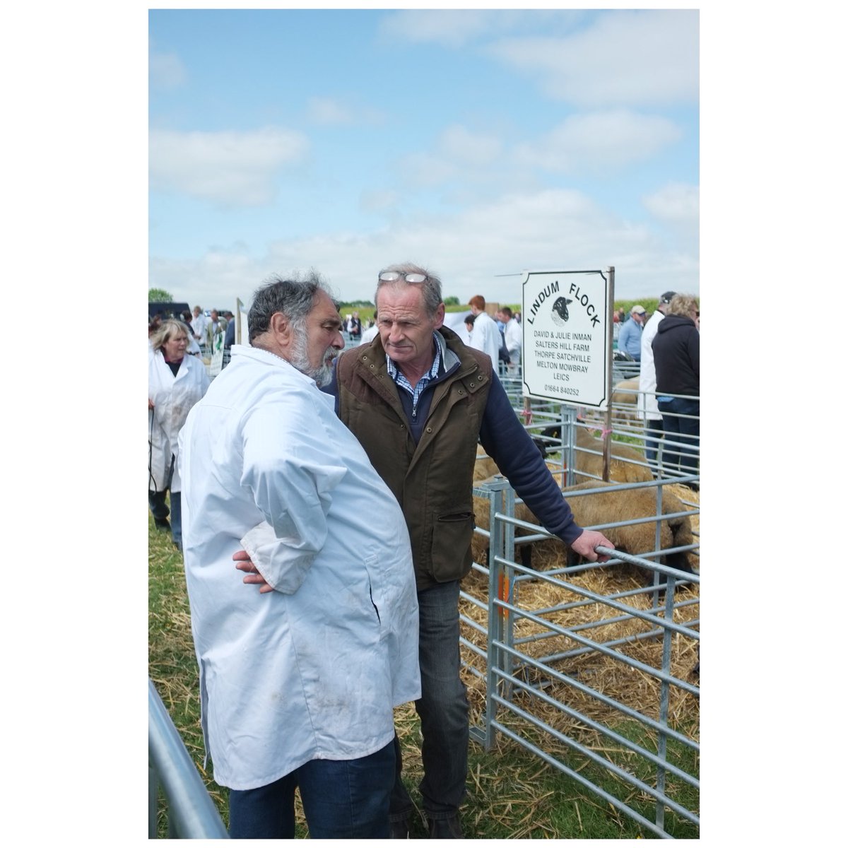 The sheep classes ⁦@RutlandShow⁩ June 2023. #rutlandshow #agriculturalshow #suffolksheep #documentingbritain