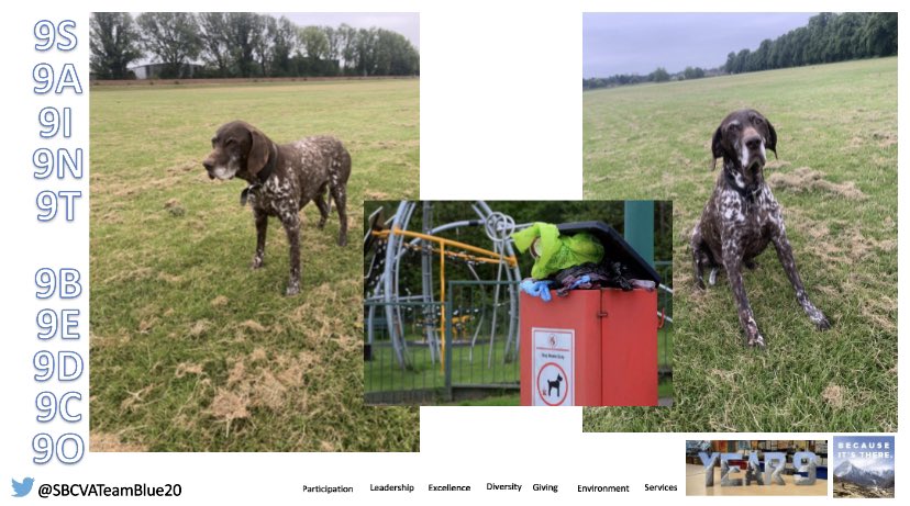 SBCVATeamBlue25's tweet image. Dog walks, dog poo, Emperors, Rites of succession, seeds and Shakespeare.

All in all a regular act of worship that focused on one of our @StBenedictDerby key values:  #Integrity 

🏔 #WrongIsWrong &amp;amp; #RightIsRight 🏔