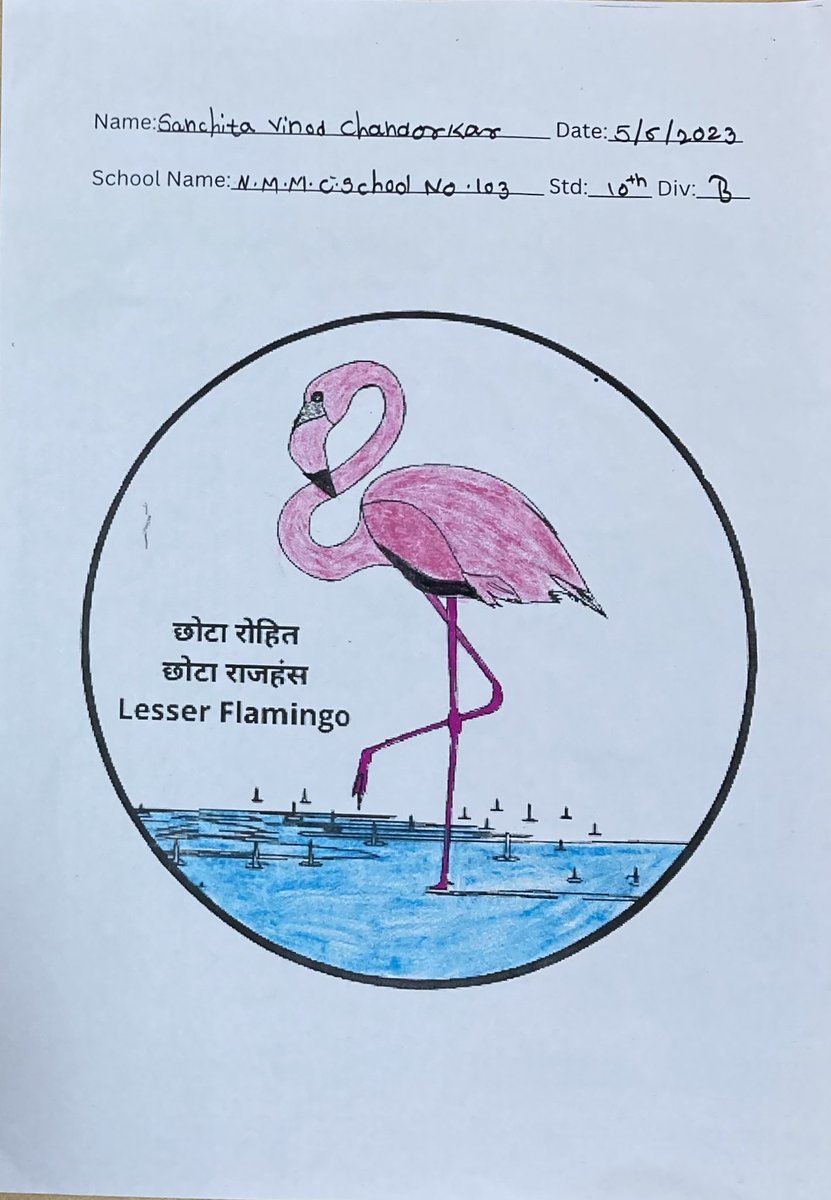 Mangrove Foundation of Maharashtra tweet media