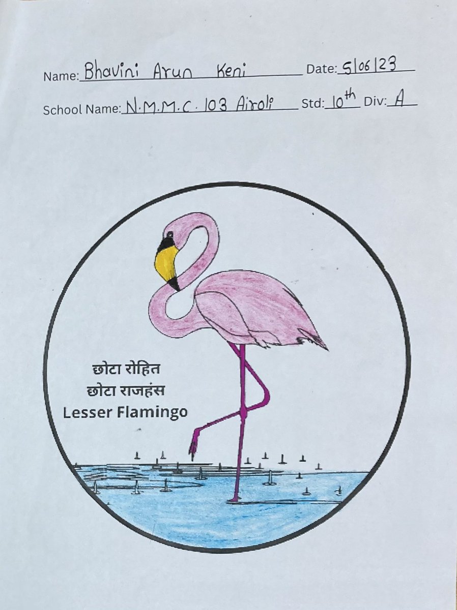 Mangrove Foundation of Maharashtra tweet media