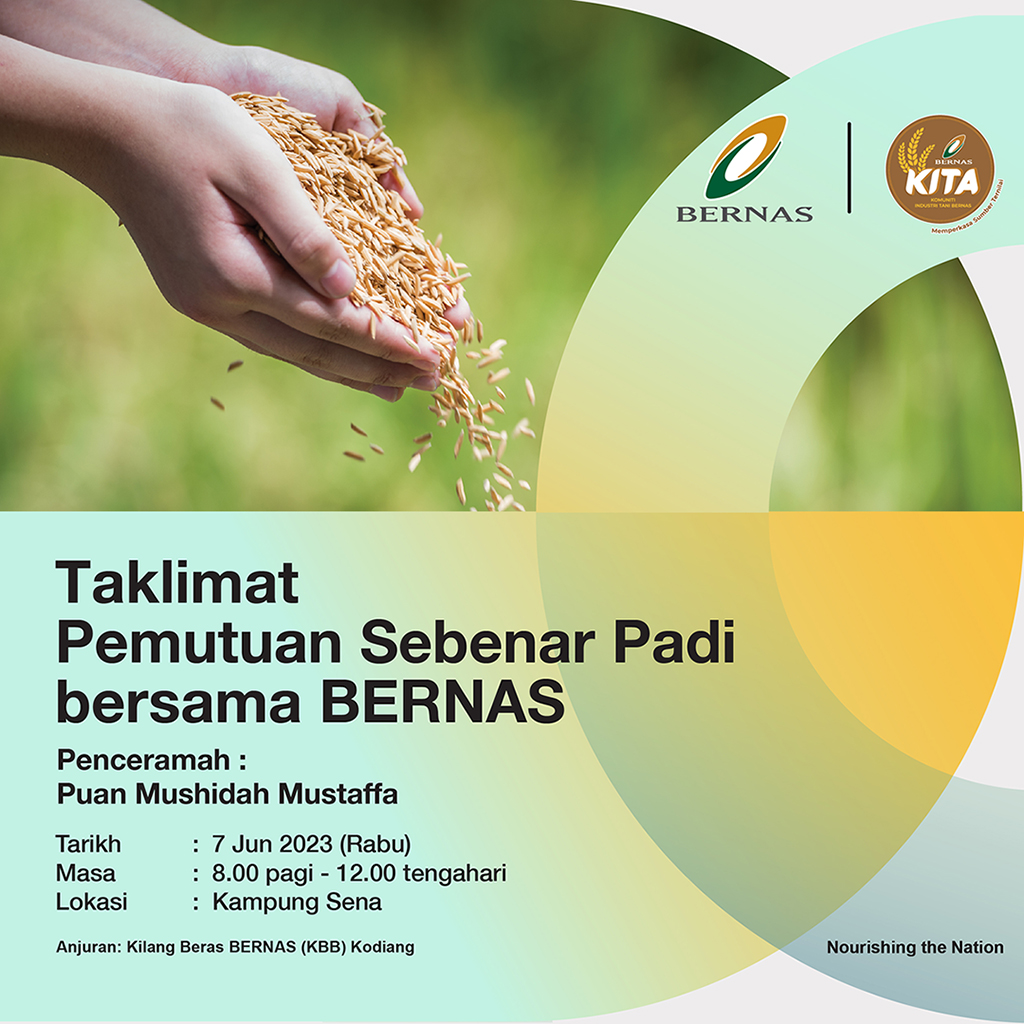 BernasOfficial's tweet photo. Taklimat Pemutuan Sebenar Padi bersama BERNAS berlangsung di Kampung Sena, Kodiang, Kedah pada 7 Jun 2023 (Rabu). Kepada yang berminat boleh terus ke tempat taklimat dan mendapatkan maklumat lanjut dengan pegawai yang bertugas.
#BERNAS #ProgramKITA #PemutuanSebenarPadi #Malaysia https://t.co/gZbXX33qYR