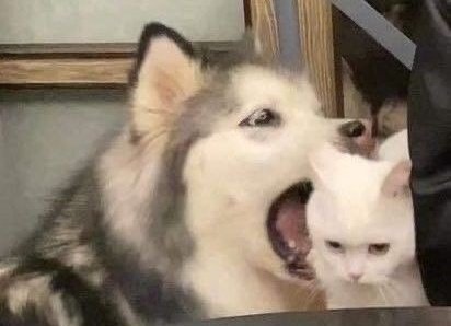 𝙉𝙤.𝟗 tweet media