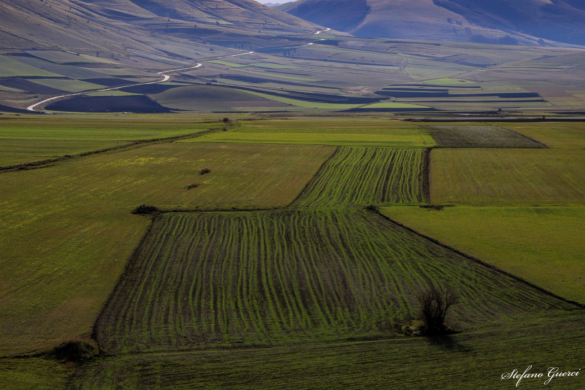 #VagandoPerLeStrade ci ritornai 
e mi innammorai ancora. 

~Pian Grande-Castelluccio di Norcia~

#VentagliDiParole #6giugno