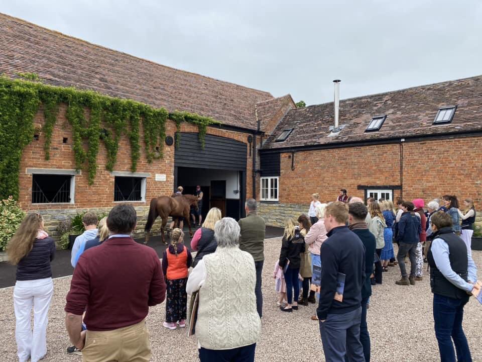 Tweenhills tweet media