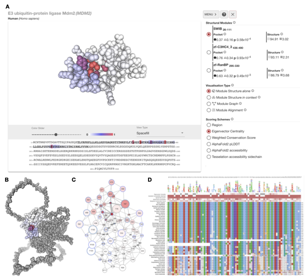 Congratulations to <a href="/hazemsci/">Hazem Mamdouh</a> on his new paper "xProtCAS: A Toolkit for Extracting Conserved Accessible Surfaces from Protein Structures" in Biomolecules. The tool maps evolutionary info onto #alphafold/pdb structures to find putative functional surfaces.  mdpi.com/2318554.