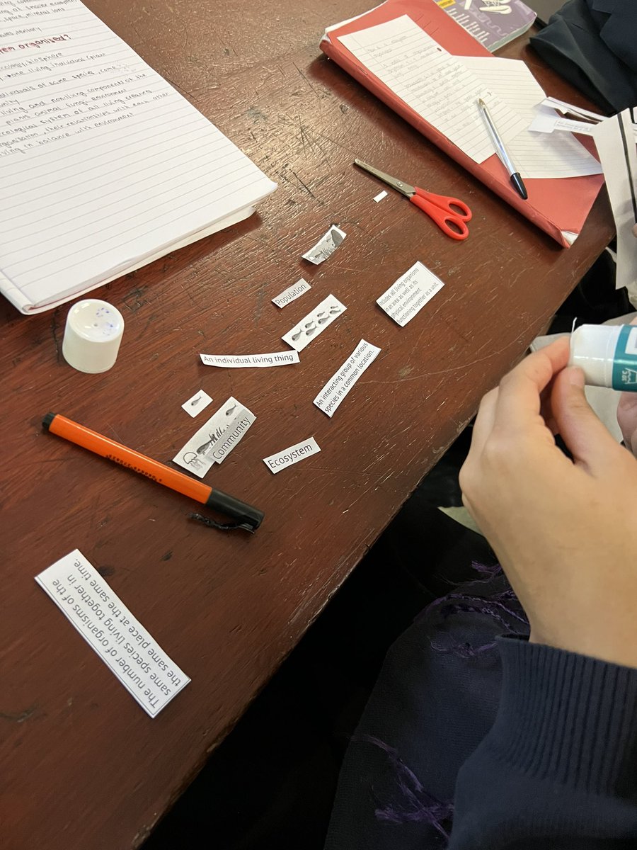 Year 10 learning about environmental communities 🐟🪴☀️