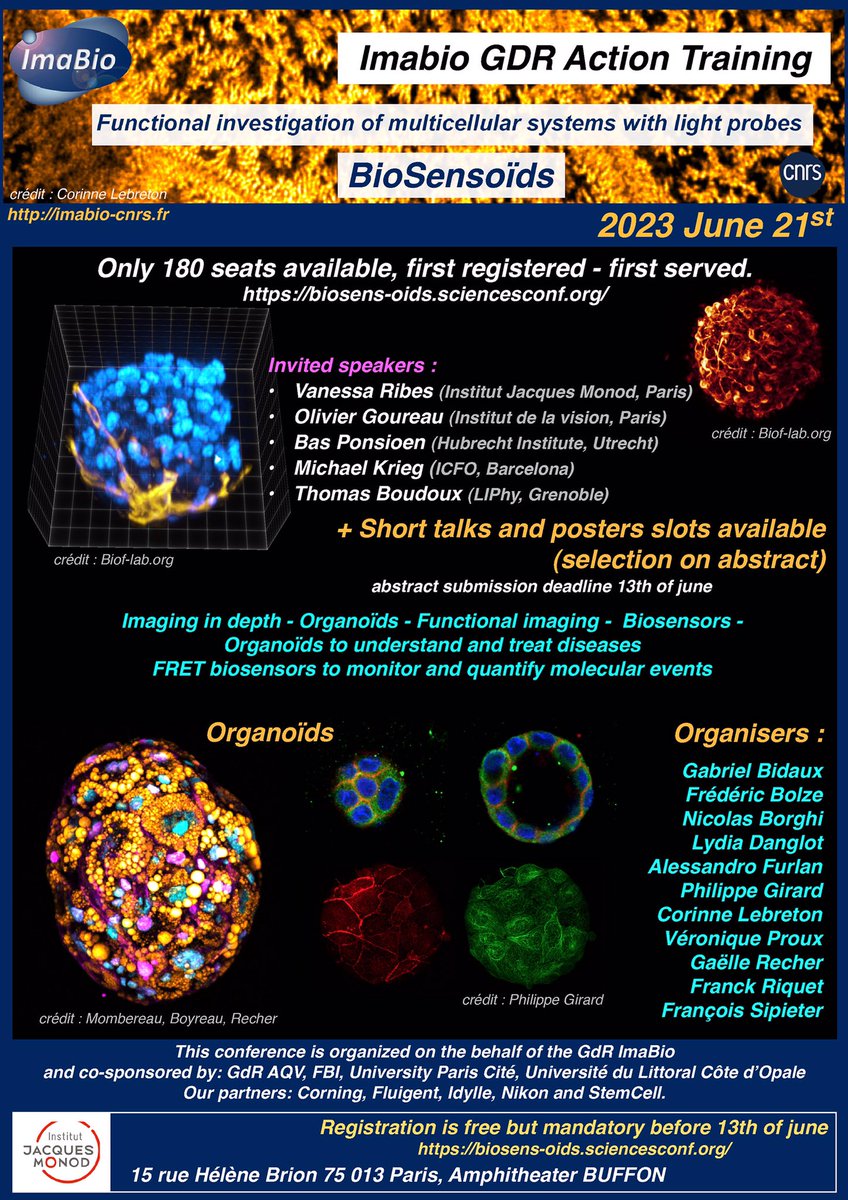 Danglot (@lydiadanglot) on Twitter photo We are organizing with <a href="/GDR_ImaBio/">GDR ImaBio</a> an international symposium in Paris dedicated to organoïds imaging and biosensors. Feel free to submit an abstract or a poster. Registration is free but mandatory : biosens-oids.sciencesconf.org We are organizing with <a href="/GDR_ImaBio/">GDR ImaBio</a> an international symposium in Paris dedicated to organoïds imaging and biosensors. Feel free to submit an abstract or a poster. Registration is free but mandatory : biosens-oids.sciencesconf.org
