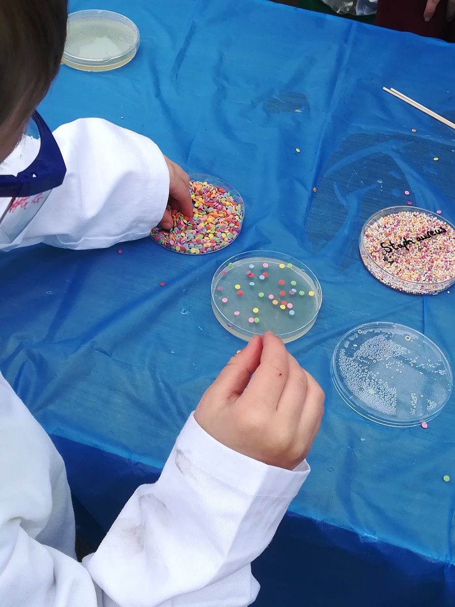 Tansy Hammarton (@hammarton_lab) on Twitter photo #GermsGalore Culture Lab activity in full flow this morning <a href="/GlasgowSciFest/">Glasgow Science Festival</a>. Some great lab skills on display from our tiniest visiting scientists! Thanks to <a href="/wellcome/">dhafer ben khalifa</a> ISSF for funding. @UofGSoLS <a href="/UofGMVLS/">UofG MVLS</a> @WCMPGLASGOW #GermsGalore Culture Lab activity in full flow this morning <a href="/GlasgowSciFest/">Glasgow Science Festival</a>. Some great lab skills on display from our tiniest visiting scientists! Thanks to <a href="/wellcome/">dhafer ben khalifa</a> ISSF for funding. @UofGSoLS <a href="/UofGMVLS/">UofG MVLS</a> @WCMPGLASGOW