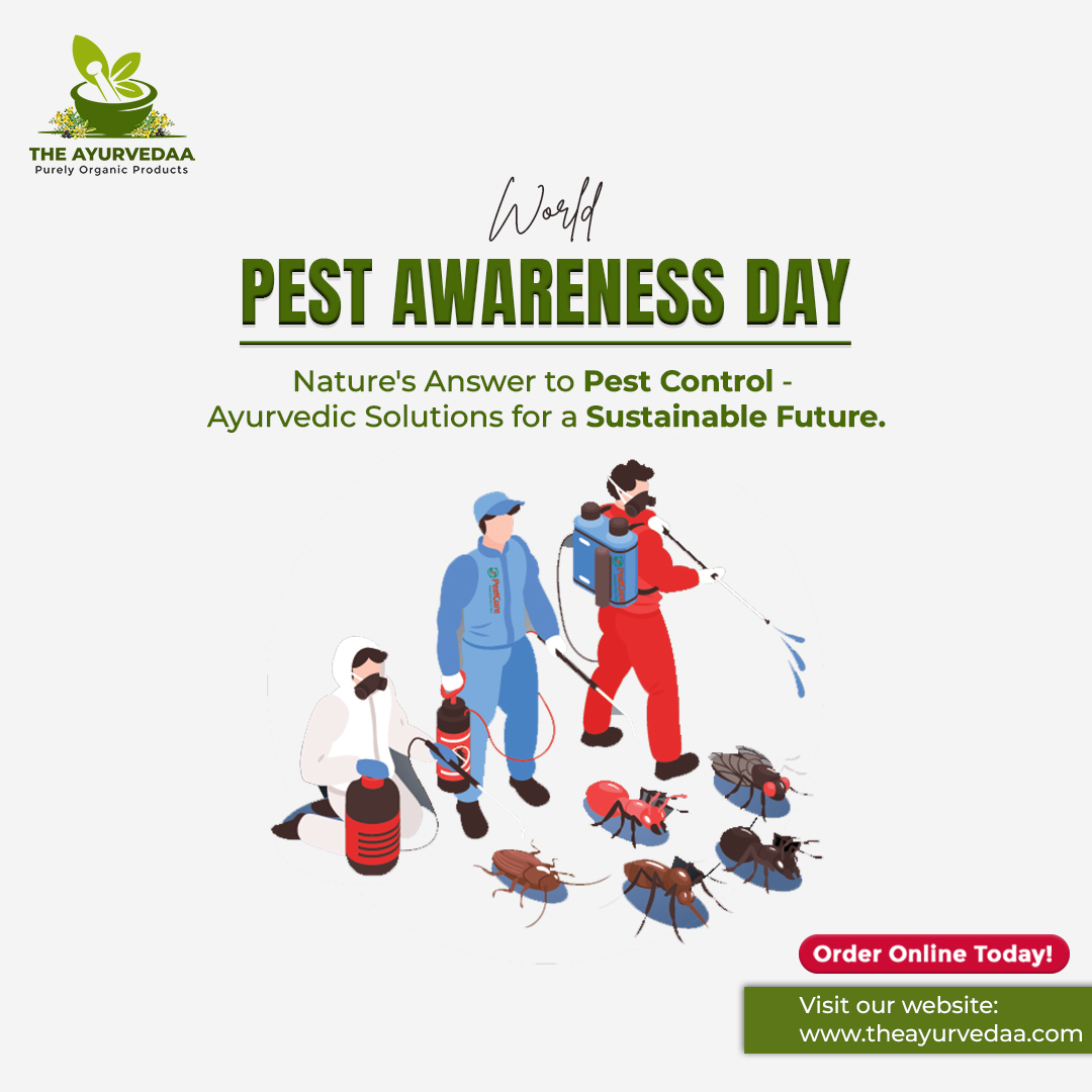 TheAyurvedaa2's tweet image. Embrace the Power of Ayurveda on World Pest Awareness Day! Nature&apos;s Answer to Pest Control Ayurvedic Solutions for a Sustainable Future
#pestcontrol #pestcontroller #mice #rodent #rodentcontrol #nontoxic #nontoxichome #tasteofhome #pests #ants #indore #madhyapradesh #TheAyurvedaa