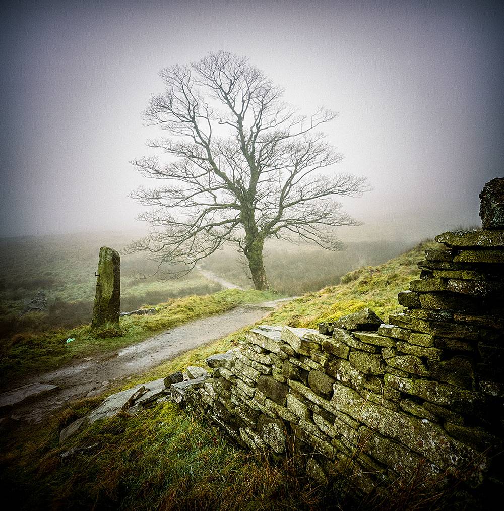 Bradford 2025 tweet media