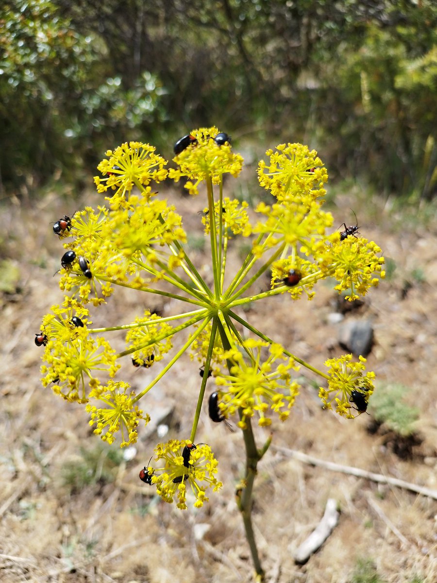 Pura naturaleza ¡Cuidémosla!@HBSTORREJON <a href="/anahbsta/">Ａｎａ ＨＢＳＴ</a>