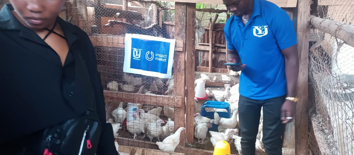 YOTUUGANDA's tweet photo. Tireless youths always fight had to see what's worthy to be in there lives at #YOTU ,apart from @impactmarket UBI,PACTS Rewarding and micro credit they also taught us how to invest and how to value money. We &amp; @impactmarket we can do anything.
@mbarrbosa
@ana_nev8 @JessicaGbt https://t.co/OKTZCWD339
