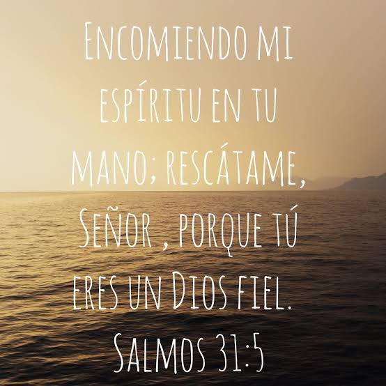 Salmos 31
David pidió ser liberado de sus enemigos y sus trampas, pero no para poder vivir para sí mismo. Se entregó completamente a Dios, entregando la parte más profunda de sí mismo a Dios.
#rpsp
#PrimeroDios