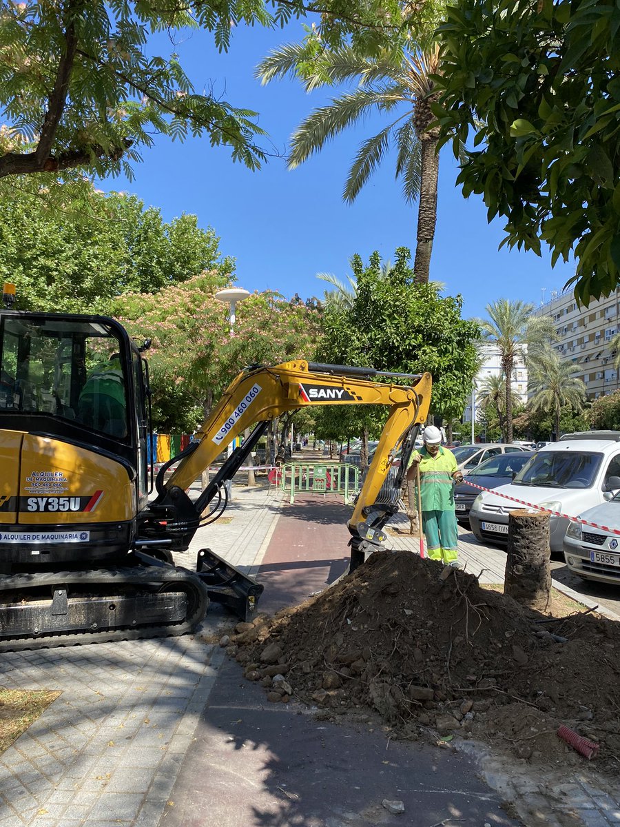 Asanchez_Talher's tweet photo. Trabajos de reposición de Palmeras en Avda Granada de @ayuncordoba_es.
ATENDE Mnto Jardines Lote 2. https://t.co/SzpxZrwazA