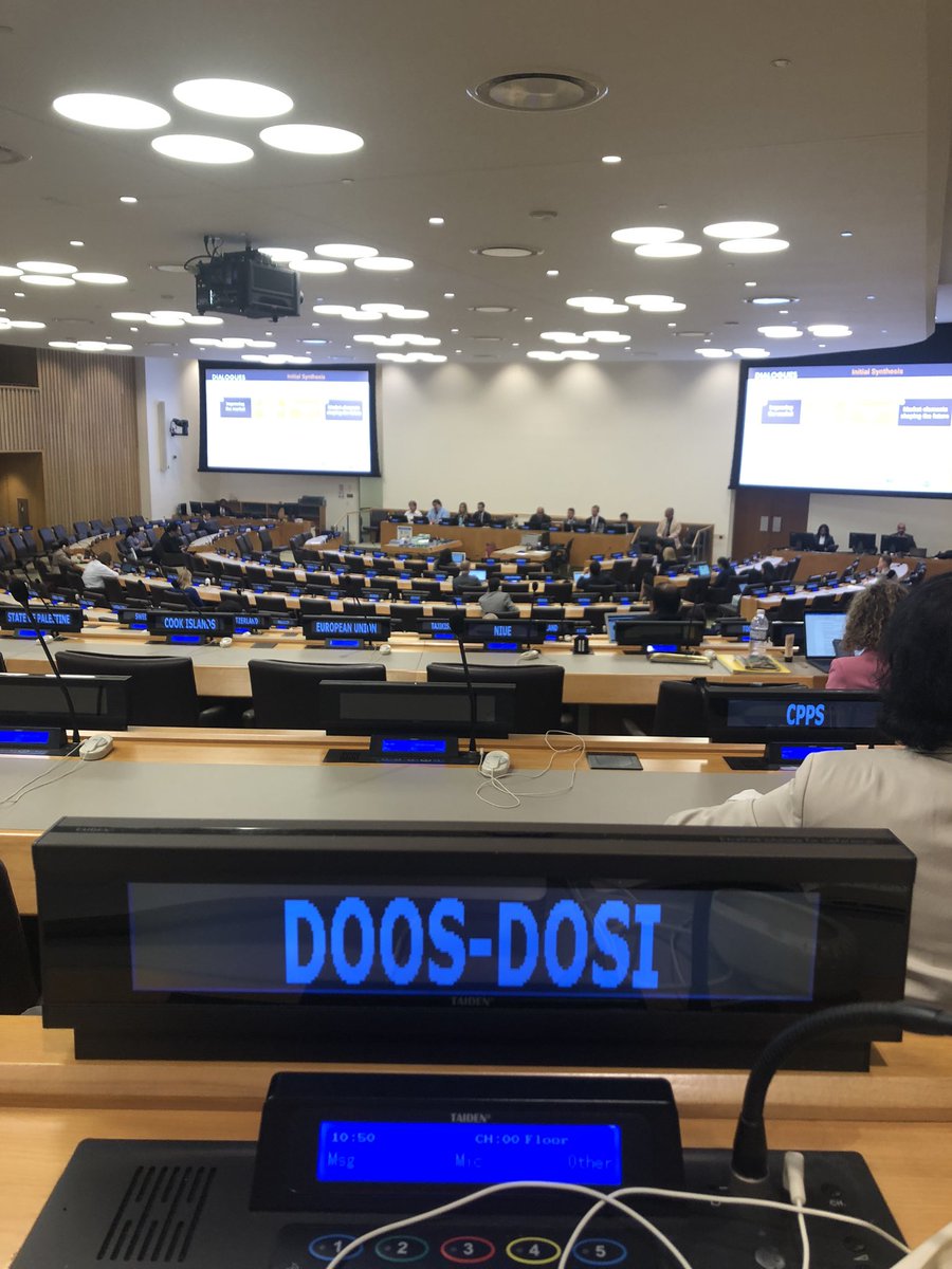 Happy to be representing the deep sea at the UN ICP on New Marine Technologies and their Sustainable Use. #UNGA