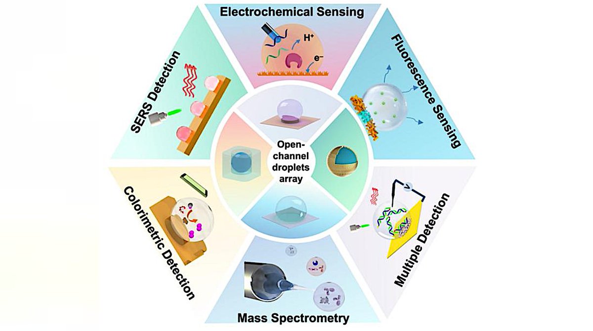 astrobiology's tweet image. Tricorder Tech: Open-channel Microdroplets Array Toward Multimode And Multifunctional Biosensing astrobiology.com/2023/06/tricor… #astrobiology #tricorder #StarTrek #StrangeNewWorlds