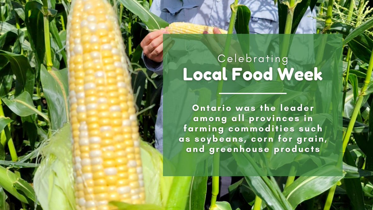 Call us overachievers will ya?! 🌽 That's a 
wrap for Local Food Week but don't let that stop you 
from appreciating Ontario Ag all year round! #OntAg 
#localfoodweek 

#goodthingsgrowinontario #LoveOntFood #StokesSeeds #StartWithStokes #agcareers