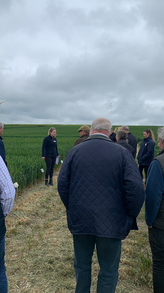Borntobemild's tweet photo. Spin down the varieties with Beth Moses @ADMAgriculture at #kilhamdemo @SyngentaUK https://t.co/wMJuauz0ib