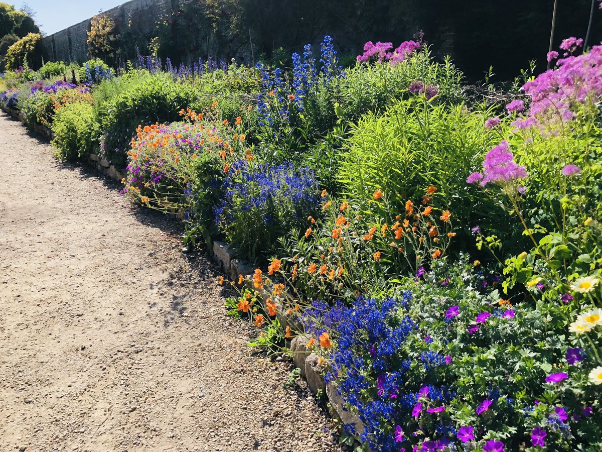 RarePlantFair's tweet image. The stunning gardens @waterperry host our next Rare Plant Fair of a busy season this Sunday from 10am. These superb gardens are reaching their peak with the herbaceous borders and the roses all looking wonderful. 

Full details at rareplantfair.co.uk/our-fairs/2023… 

Photos by @pathavers
