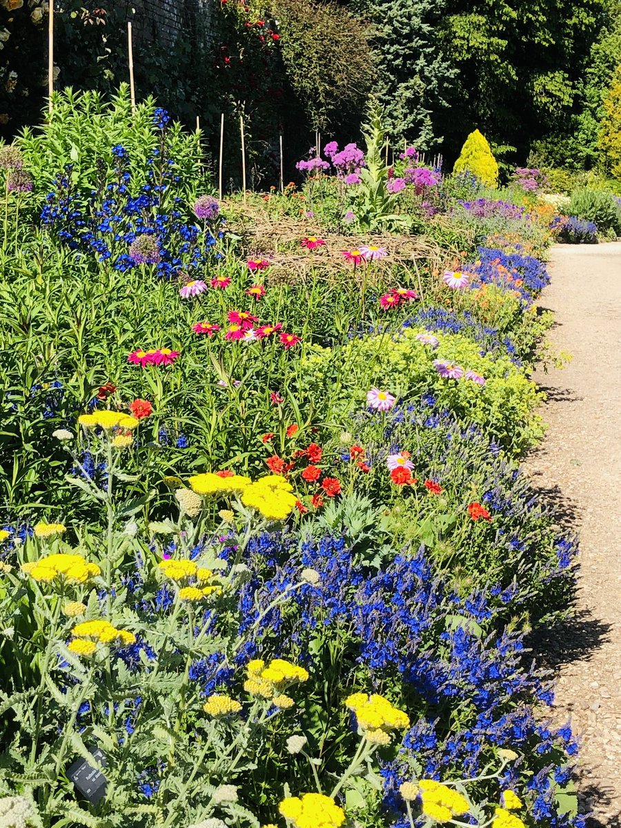 RarePlantFair's tweet image. The stunning gardens @waterperry host our next Rare Plant Fair of a busy season this Sunday from 10am. These superb gardens are reaching their peak with the herbaceous borders and the roses all looking wonderful. 

Full details at rareplantfair.co.uk/our-fairs/2023… 

Photos by @pathavers