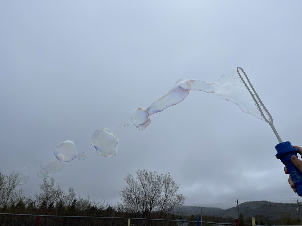 HaywardDeanne's tweet photo. Bubble fun with Grade 4’s @PersalvicE @NLESDCA https://t.co/rgpwPTIQt8