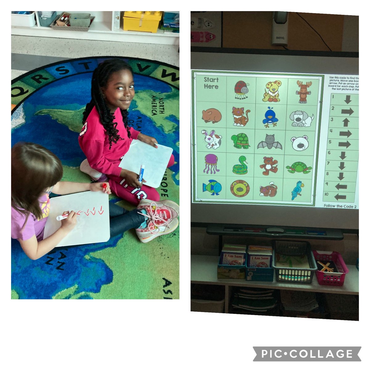 AngieMHollis's tweet photo. Students chose a secret animal and wrote the code for their partner to guess their animal. ⁦@StLeonardOCSB⁩ https://t.co/Ew1Ow7W2iX