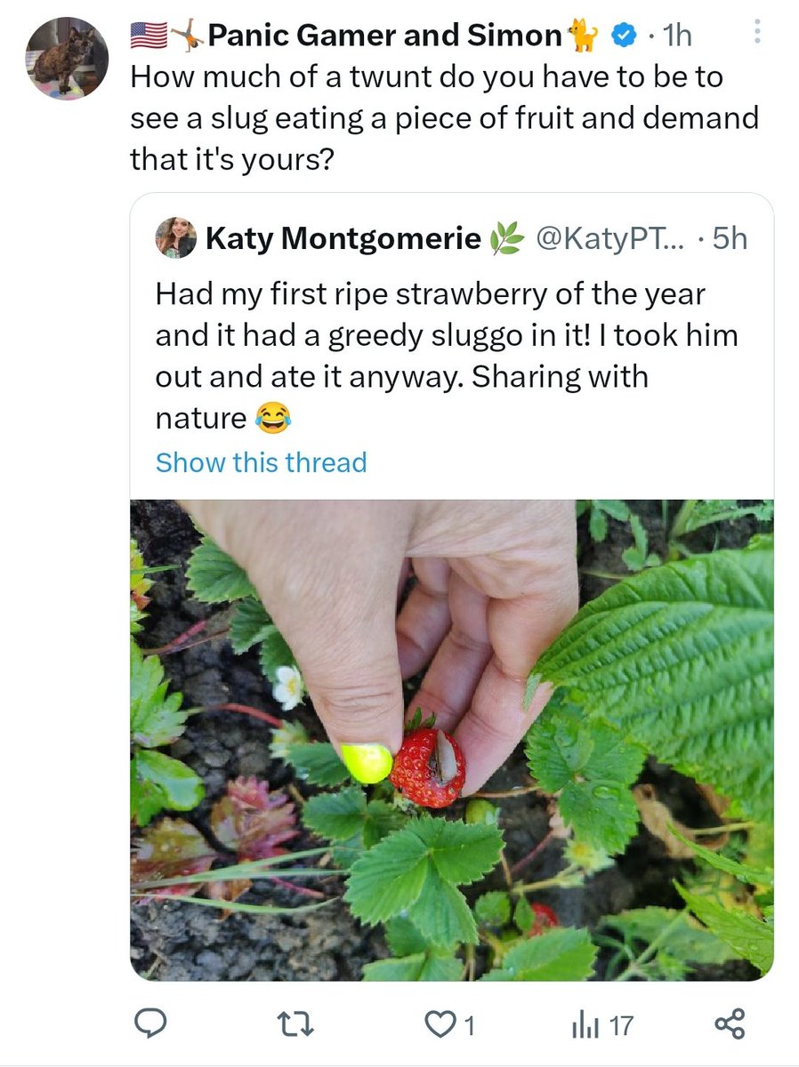 katy-montgomerie-on-twitter-transphobes-get-extremely-angry-when