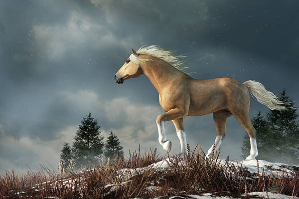Daniel Eskridge (Fantasy/Western/Wildlife Artist) tweet media