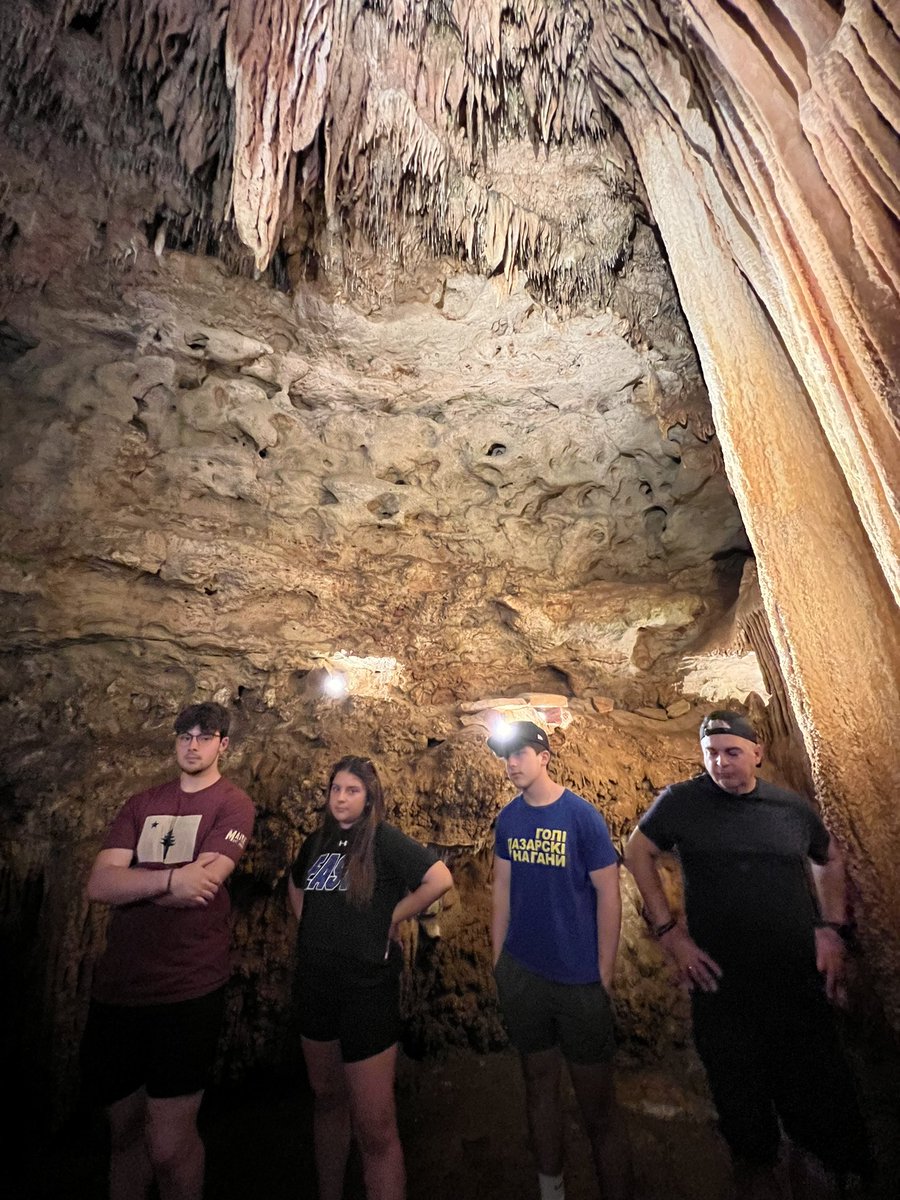 traci mitchell tweet media