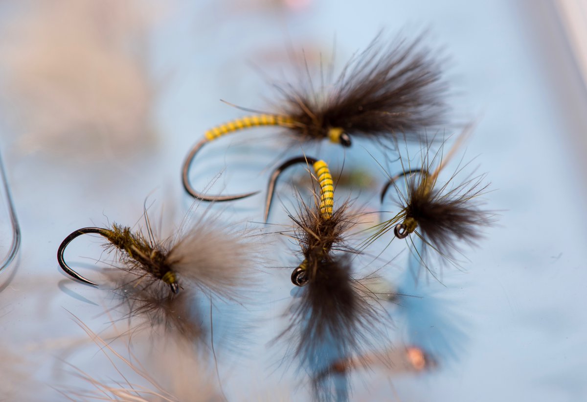 Mark Bowler tweet media