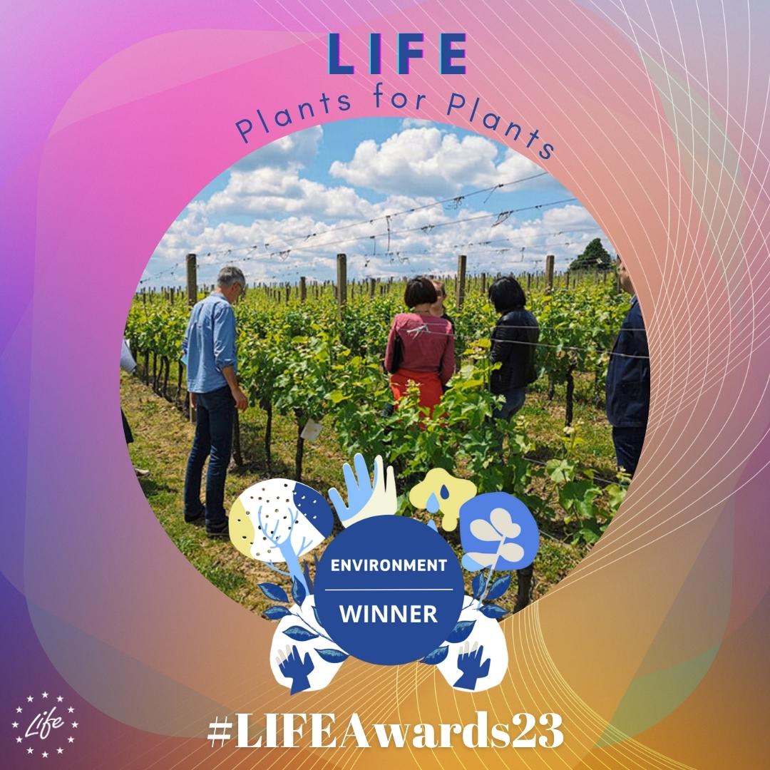 A big hooray for LIFE Plants for Plants, WINNER of the #LIFEAwards23 #environment category!👏 This groundbreaking #LIFEproject has introduced new bio-stimulants to make #agriculture more #sustainable & #climateresilient. 👉 bit.ly/LIFEPlantsforP… Goed gedaan!💚 #EUGreenWeek