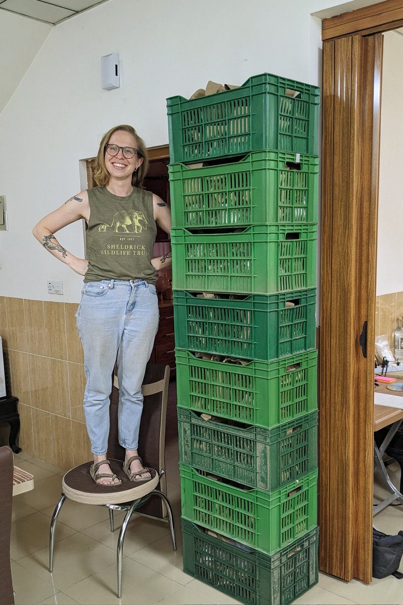 petramcreamer's tweet photo. 3,000+ bones in two seasons of excavations makes for a very happy zooarchaeologist @Archaeosl #RLIIM2023 https://t.co/P3zE6ZEy5G