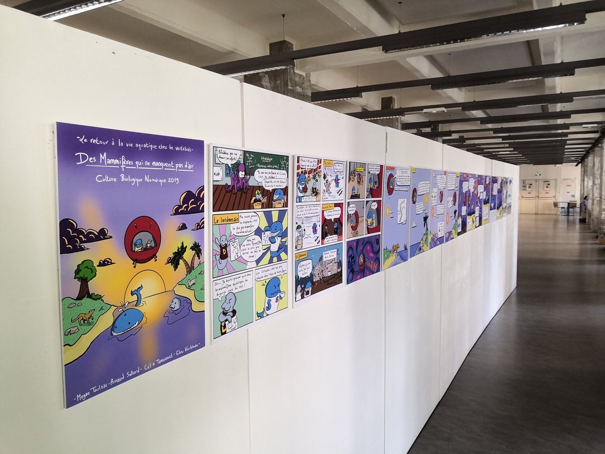 CBioNum's tweet photo. En ce moment à @UPCite_Bib des grands Moulins : exposition exceptionnelle de 3 BD publiées sur @CBioNum !
À ne pas rater! https://t.co/oQXH4L6Ko1