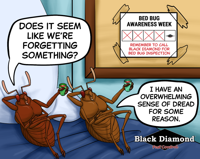 877DEADBUG's tweet image. Bed bugs are out for your blood, but we’re out for theirs! Let Black Diamond &apos;take care of&apos; your bed bug problems. Call 877-DEAD-BUG today and we&apos;ll put them out of YOUR misery. #ToonTuesday #BedBugAwarenessWeek