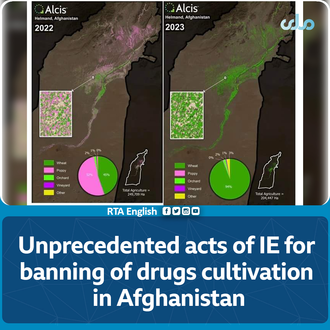 rtaenglish1's tweet photo. After the order of His Highness Amir-ul Mu'mineen to prevent drug cultivation, smuggling and sale in #Afghanistan, A #British research center known as #Alcis has reported that, Islamic Emirate of Afghanistan has made significant achievements in preventing drug cultivation.1/2 https://t.co/bolfdVpq7S