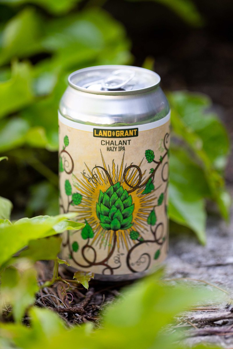 LandGrantBeer's tweet image. Out Now: Our latest Hazy IPA does not play it cool, does not go with the flow &amp;amp; is downright *Chalant* about its vineyard-sized yield of white wine-forward flavor &amp;amp; aromatics. 

Read about Chalant Hazy IPA &amp;amp; how we achieved its white wine-like qualities: landgrantbrewing.com/project/chalan…