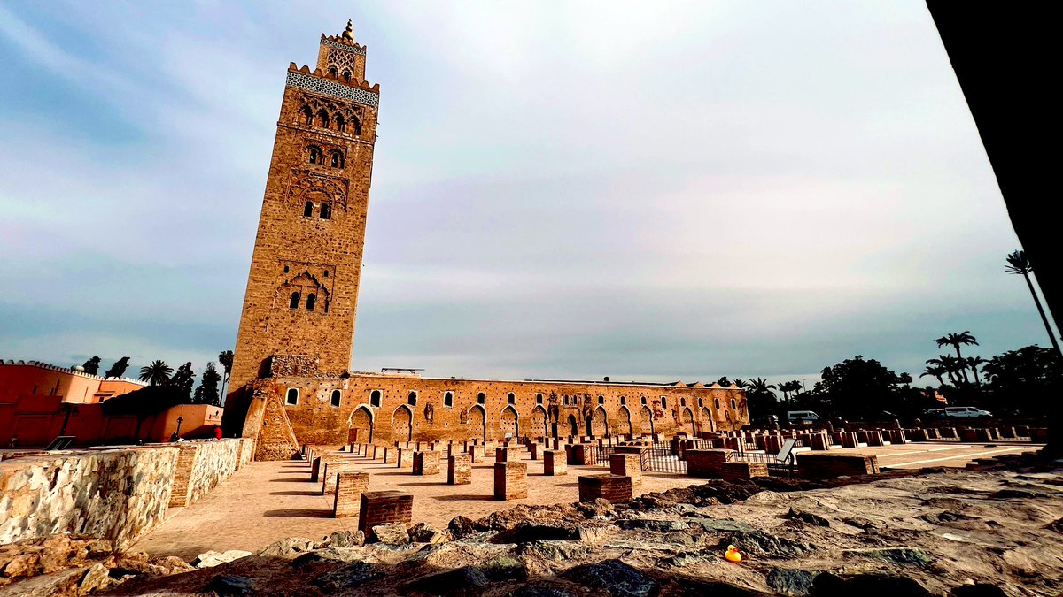 jaysonstreet's tweet image. Last #DuckArmyInvasion of the trip! 😊