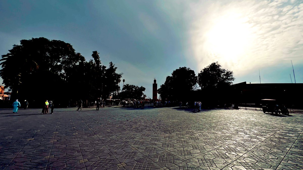 jaysonstreet's tweet image. Last #DuckArmyInvasion of the trip! 😊