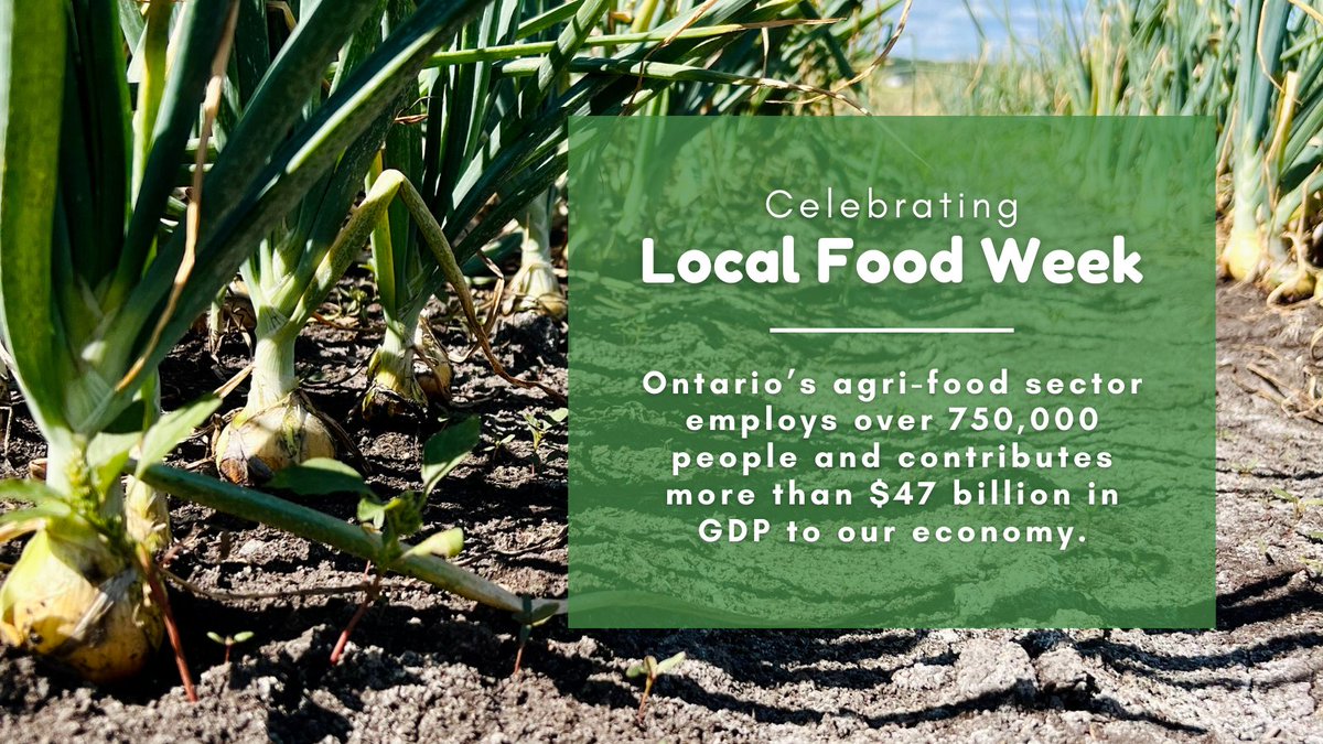 How are you celebrating Local Food Week? #OntAg #localfoodweek

#goodthingsgrowinontario #LoveOntFood #StokesSeeds #StartWithStokes #agcareers #Ontariofood #growninOntario #agriculture #CanadianEconomy