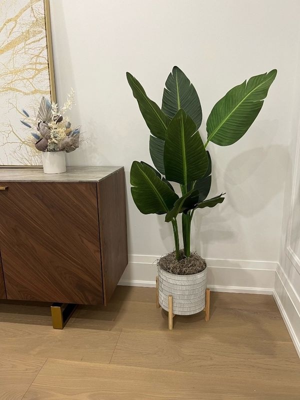 Bring the earthy vibes of the jungle into your home with the Artiplanto Boho Bird of Paradise Artificial Plant! Check out our store for more info and get the style you crave! #ShopNow #Artiplanto #BohoVibes
artiplanto.com