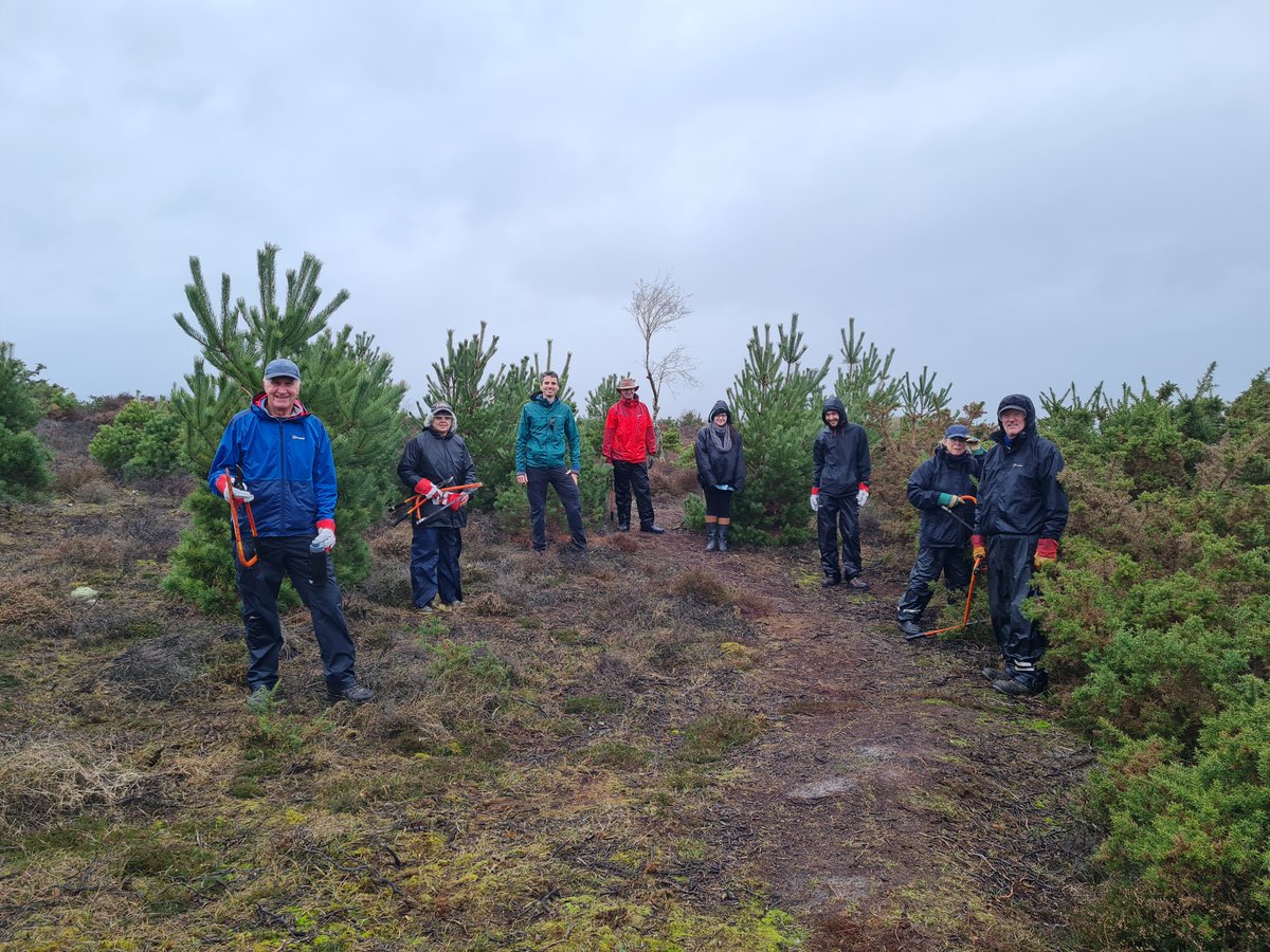 👩‍🌾 Fancy getting down &amp; dirty with us? 
🌿 We need #volunteers to clear #HimalyanBalsam along the Corfe River...
🌾 Sessions this Sunday 11th from 9am-12pm &amp; then a few more until end of July
👍 If you'd like to come along please email marinefreshwaterplanetpurbeck@gmail!