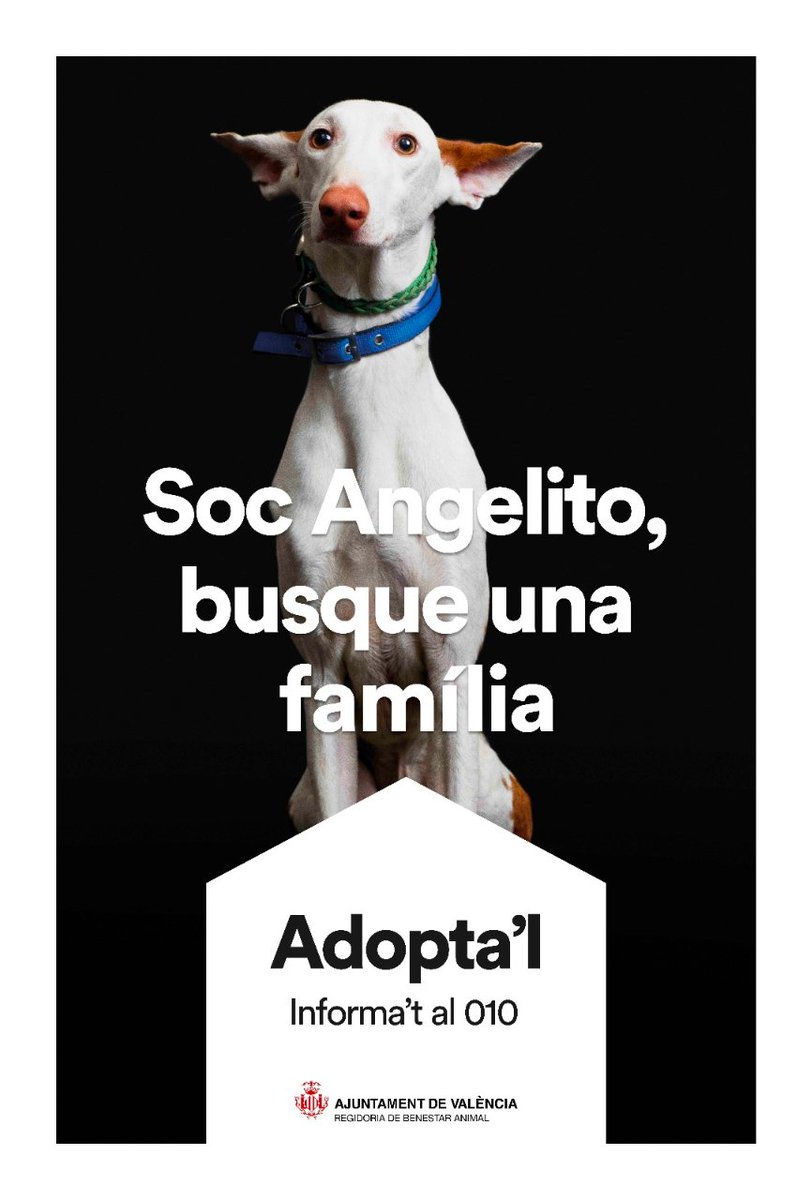 Ajuntament València tweet media