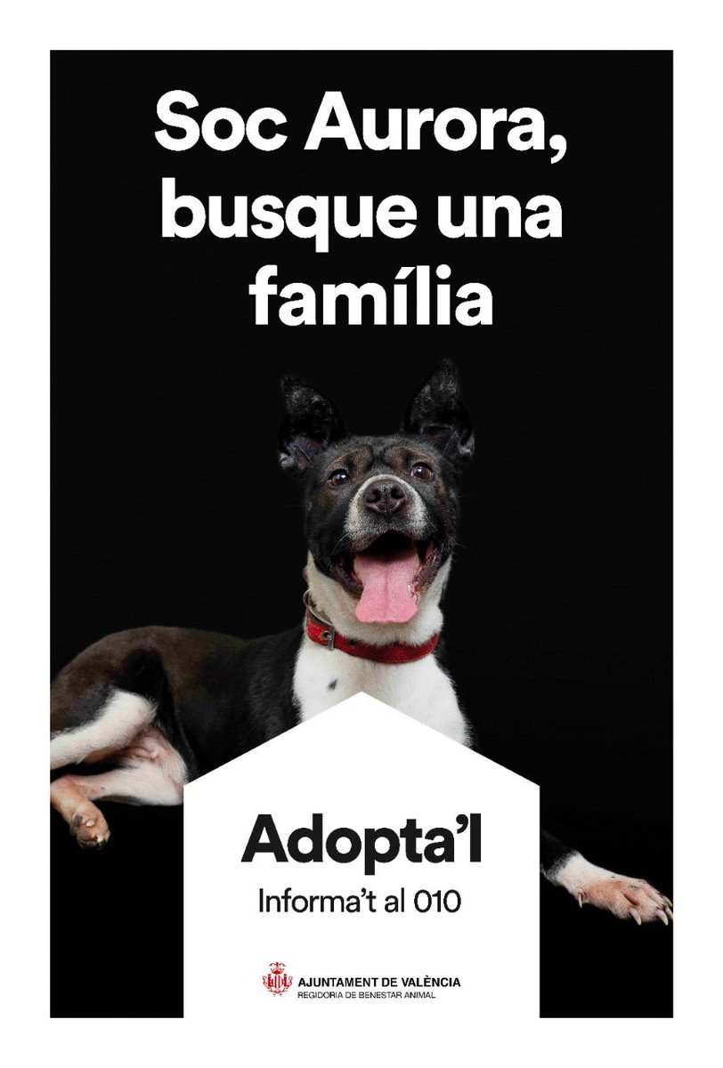 Ajuntament València tweet media