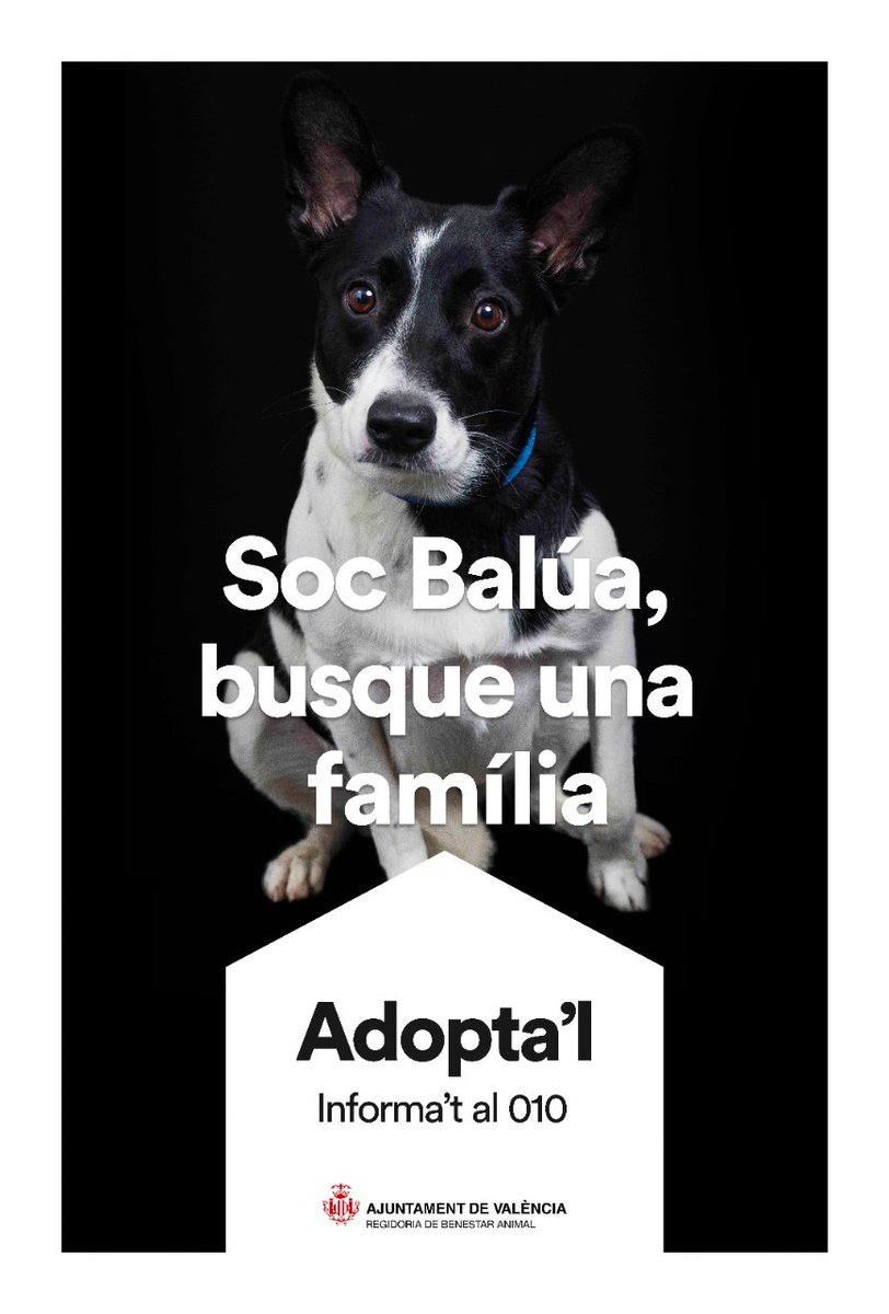 Ajuntament València tweet media
