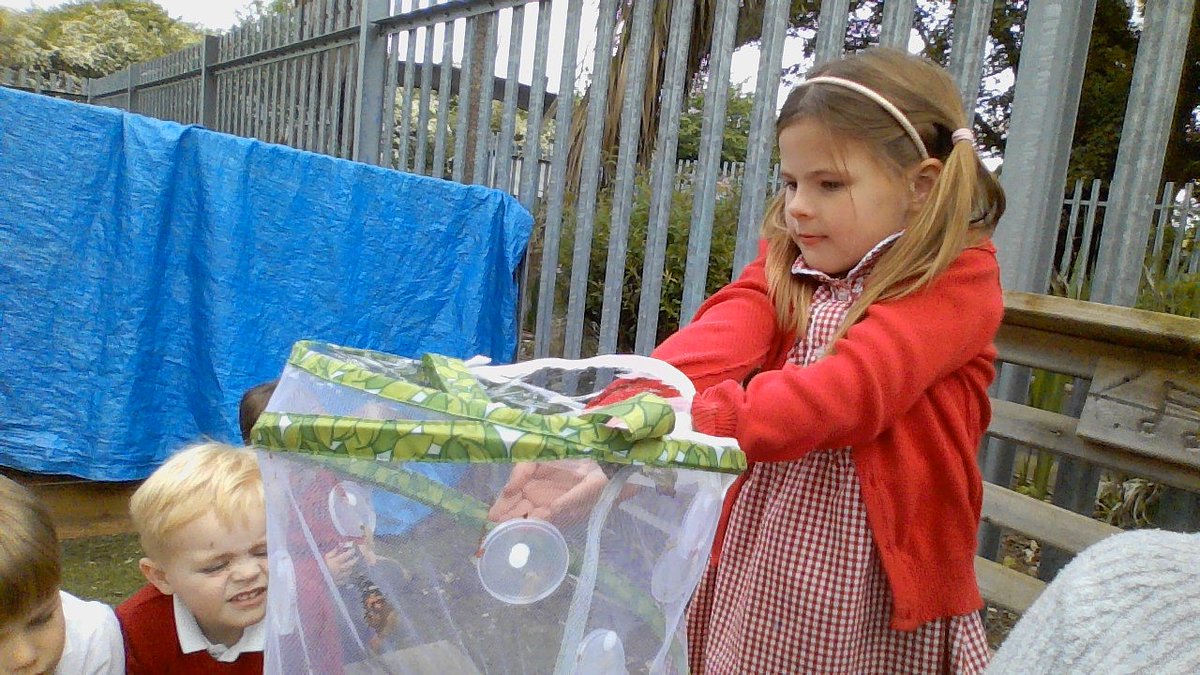 FS_STMore's tweet photo. Our class butterflies have been set free. Thank you for the amazing experience @stmptfa 
@STM_Hull https://t.co/nwbvhexCBd